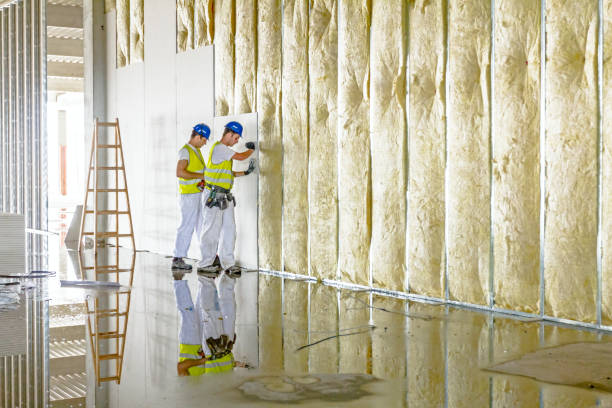 Best Residential Insulation in Marion, WI